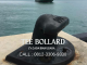 Tee Bollard Pelabuhan