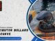 DISTRIBUTOR BOLLARD TIPE CURVE