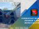 Rubber Fender V 800 H × 2500 L: Spesifikasi, Keunggulan, dan Aplikasi untuk Perlindungan Dermaga